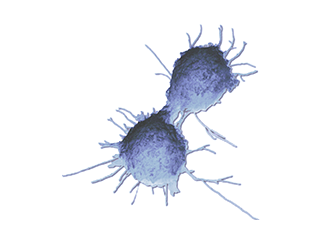 cancer-research.png cancer-research.png